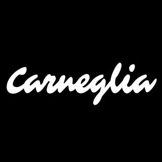 Carneglia Guitars Take Center Stage at Walt Grace Vintage