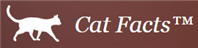 Cat Facts Text Prank: Messaging Service Explodes in Popularity After Prank Takes the Media by Storm