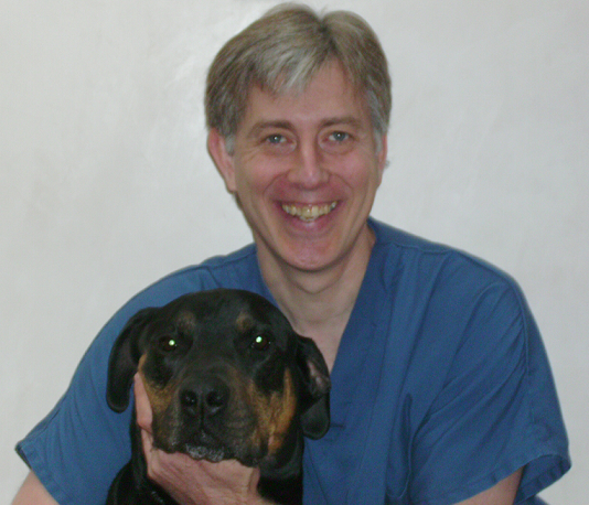 Solving the Mystery of the Mess: Dr. Eugene Aversa Offers Compassionate Solutions to Cat Inappropriate Soiling and Refusing to use the Litter Box