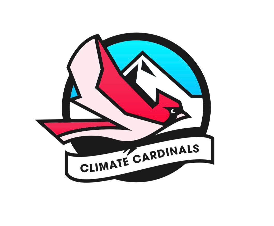 Climate Cardinals Breaks New Ground as One of the First Youth-Led Organizations Funded by Google.org