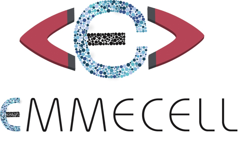 Emmecell Completes Final Cell Therapy Dosing in U.S. Clinical Trial for Corneal Edema