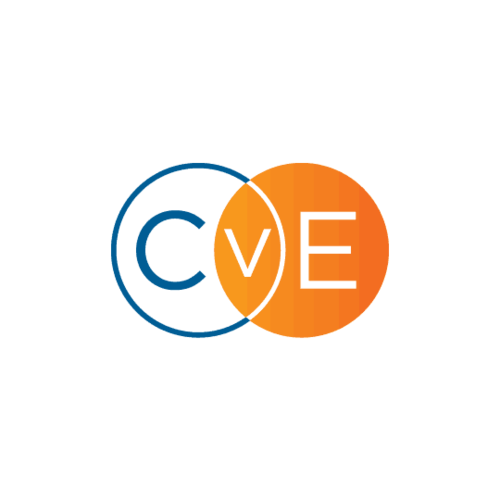 CvE Marketing Consultancy Welcomes Vanessa Miceli, New Global Data & Tech Practice Lead, Championing a New Era of Innovation