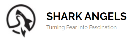 Dive for a Cause: Support Shark Conservation with Shark Angels' World Oceans Day Auction 2024!