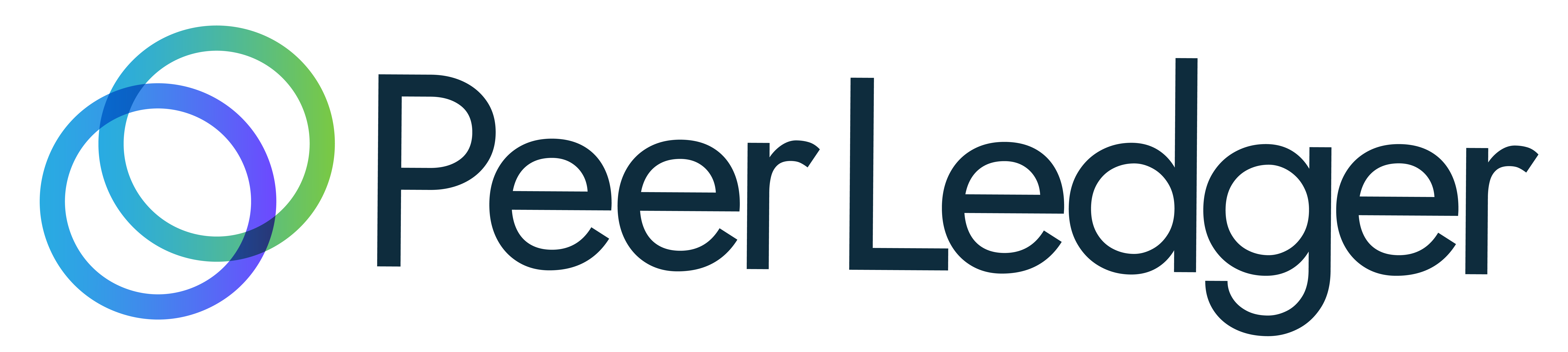 Peer Ledger Appoints Shaya Kheradpir as Chief Revenue Officer