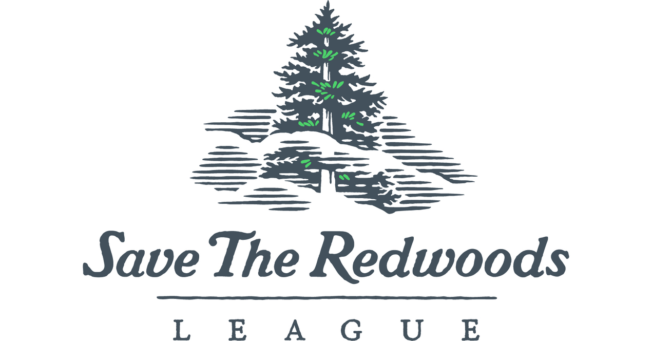 New Report Shows Significant Socioeconomic Benefits of Large-scale Restoration Projects in Redwood National and State Parks Region