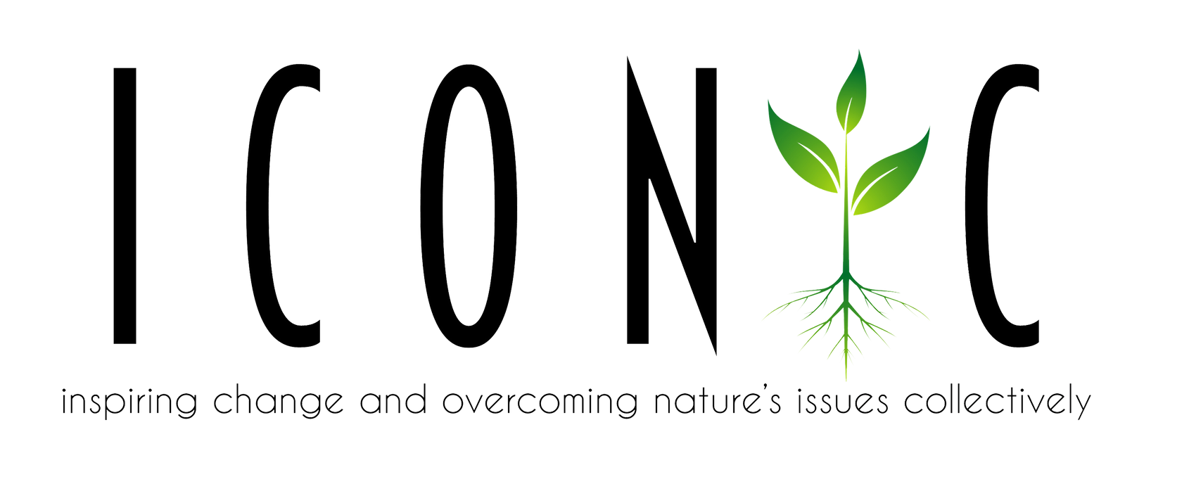 ICONIC Mission 2024 with the Mrs USA EARTH Organization: Environmental Advocacy and Community Service