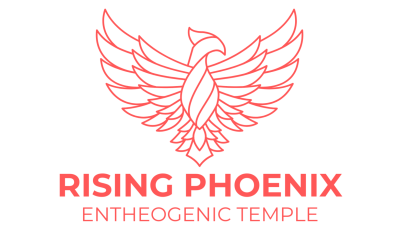 Rising Phoenix Mushroom Church Opens in San Francisco