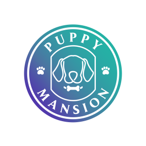 Puppy Mansion Miami: Award-Winning Puppy Store is Redefining the Industry With Innovation, Unparalleled Standards and Service