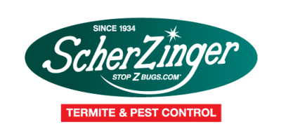 58% of Homeowners Have Never Scheduled a Professional Termite Inspection, New Survey Reveals