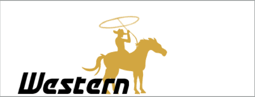 Western Investment Company Reports 2025 Year-End Results