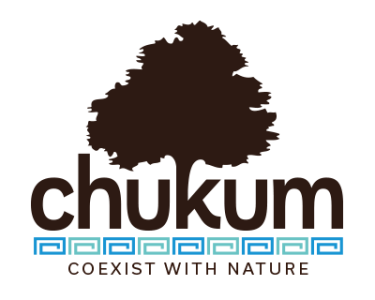 Chukum USA Featured in Florida Design Magazine: Reviving Ancient Mayan Plaster for Today’s Sustainable Architecture and Design