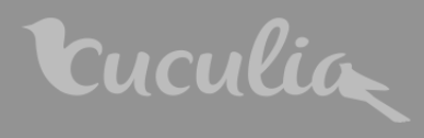 Cuculia Ristorante: A Prestigious Michelin Recognition, Forchettiere Award Winner, and Inimitable Success in Florence's Culinary Scene