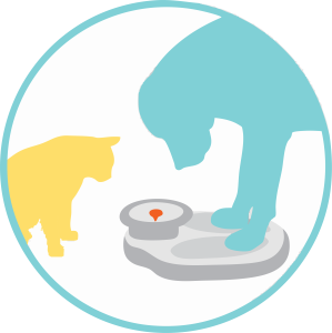 13th Annual Fit Pets for Rescues Sign-Up Challenge Raises Over $10,000 for Animal Rescues Across the U.S. and in Canada