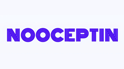 Nooceptin Introduces Strategic 3, 6, and 12-Month Brain Health Protocols for Long-Term Cognitive Optimization