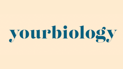 YourBiology SuperGreens+ Drink and Powder Reviews: Real User Complaints, Ingredients, Benefits, Pricing, and Legitimacy