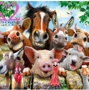 2nd Chance Ranch & Rescue Expands Animal Sanctuary Efforts, Invites Public to Support Ethical Animal Care