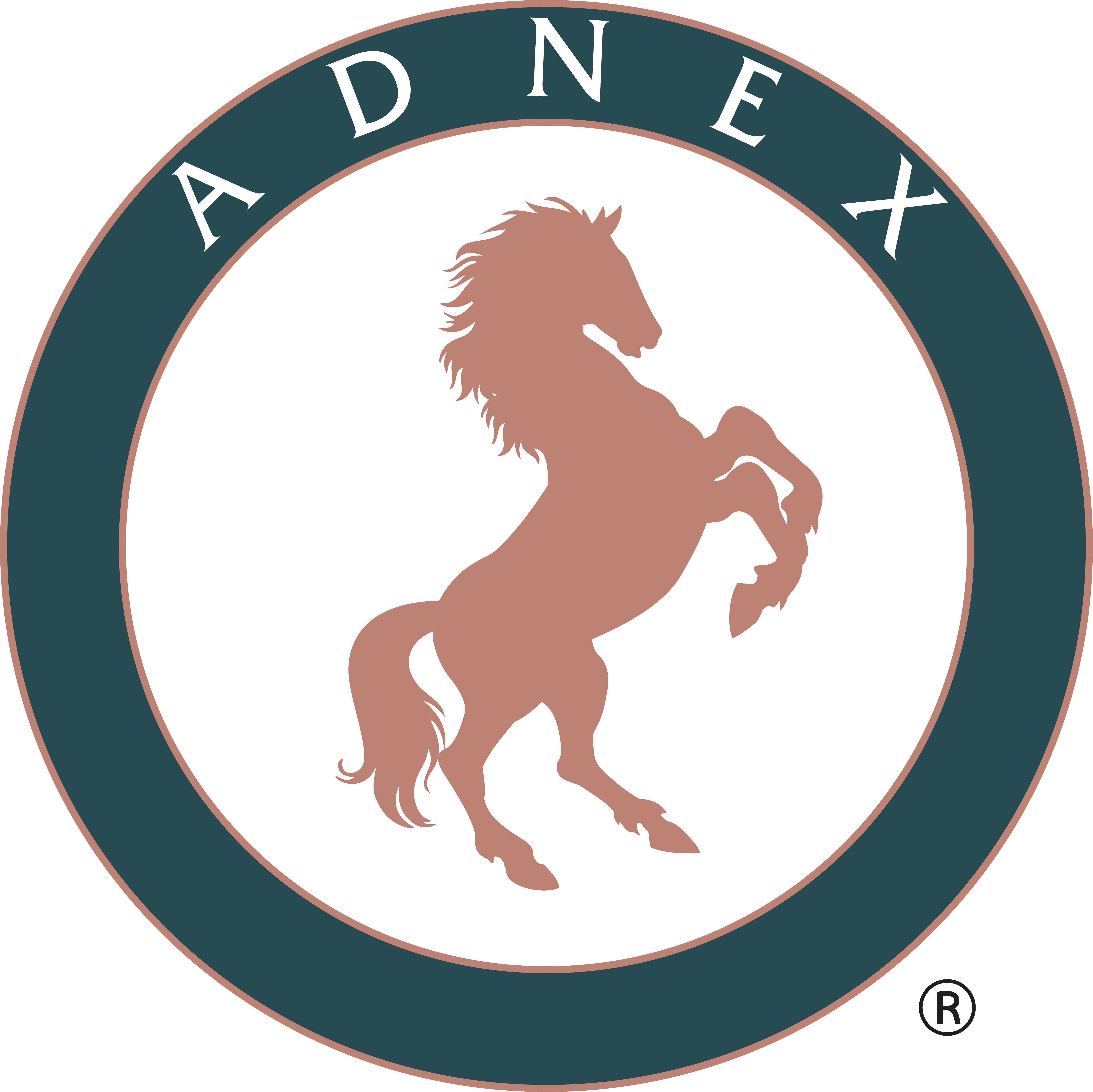 Adnex Group Berhad Launches IPO Prospectus 