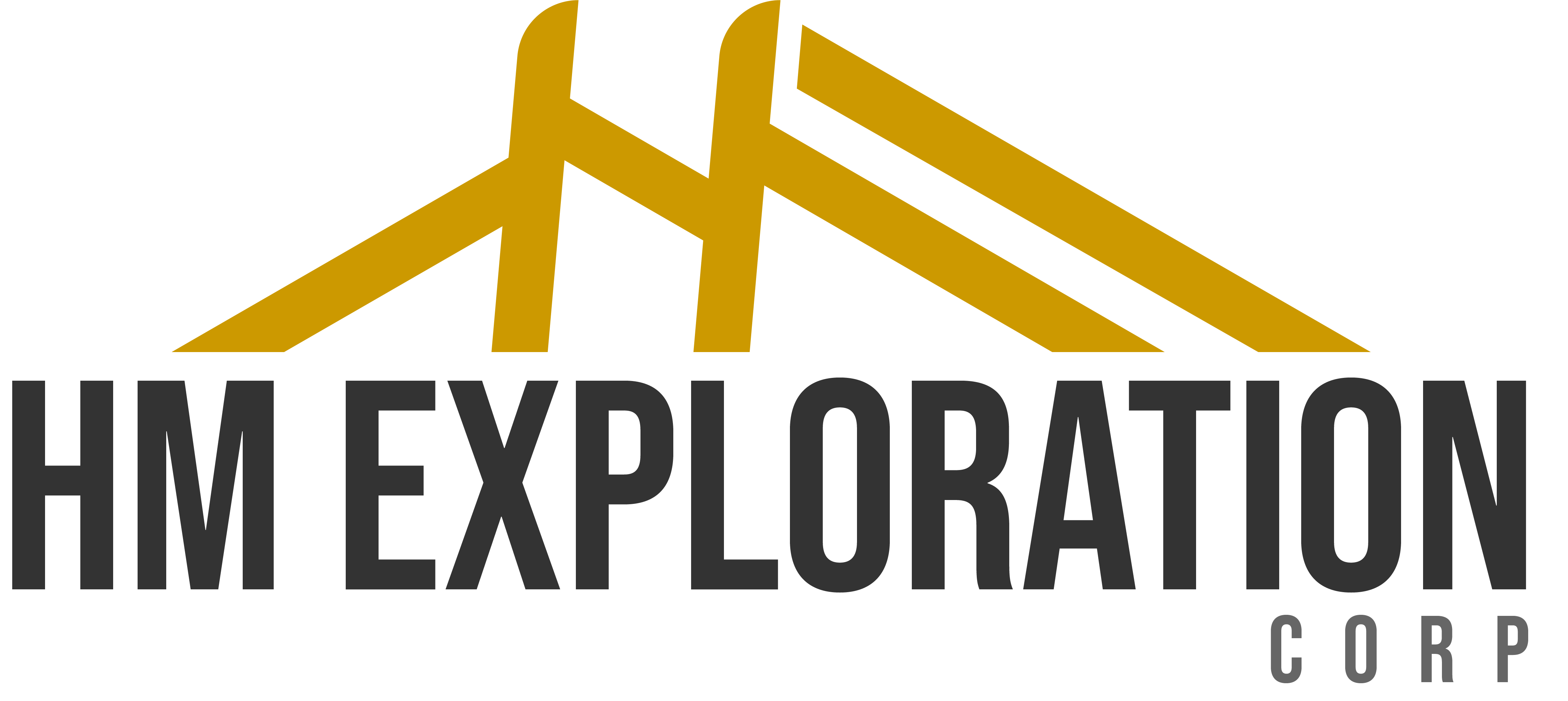 HM Exploration Discovers New Blind Massive Sulphide Lens at Lewis Pilley's Project