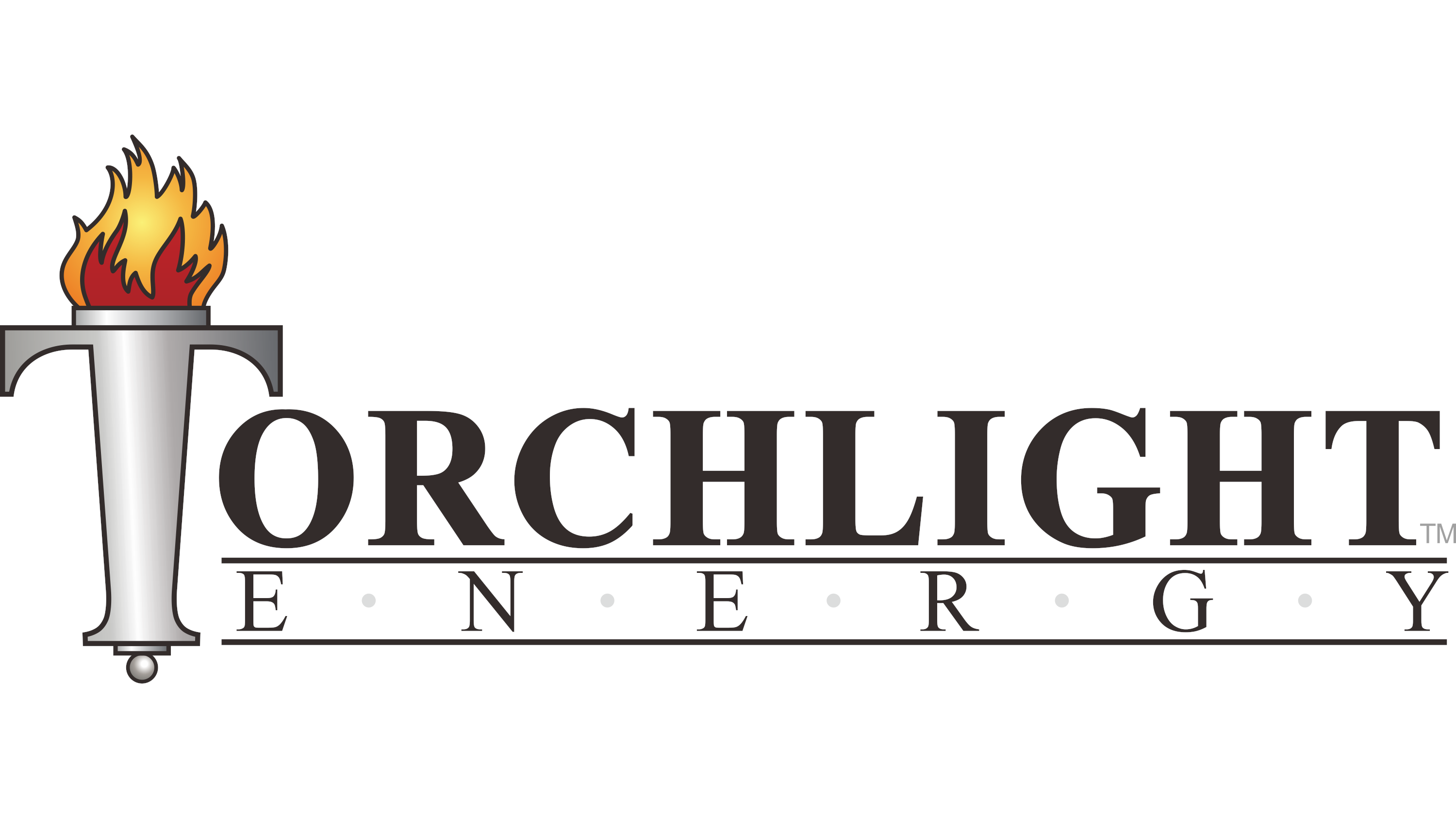 torchlight energy stock split