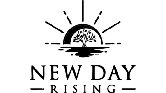 CLEAR by New Day Rising Review: Natural Brain Supplement for Focus ...