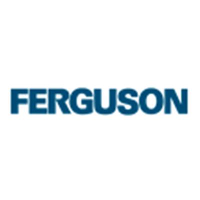 Ferguson PLC Announces Non-Executive Director Appointment
