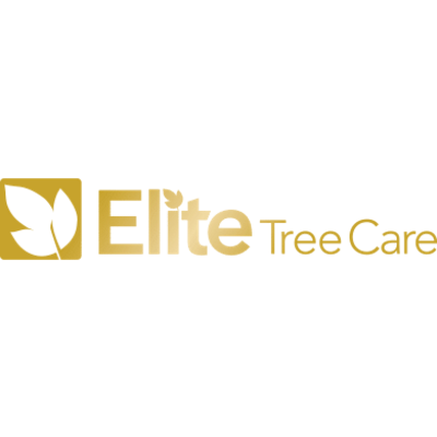 Elite Tree Care Completes 10-Day Tornado Relief Cleanup at Indiana’s Sand Creek Country Club