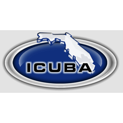 ICUBA Names Chu H. Soh President and Chief Executive Officer