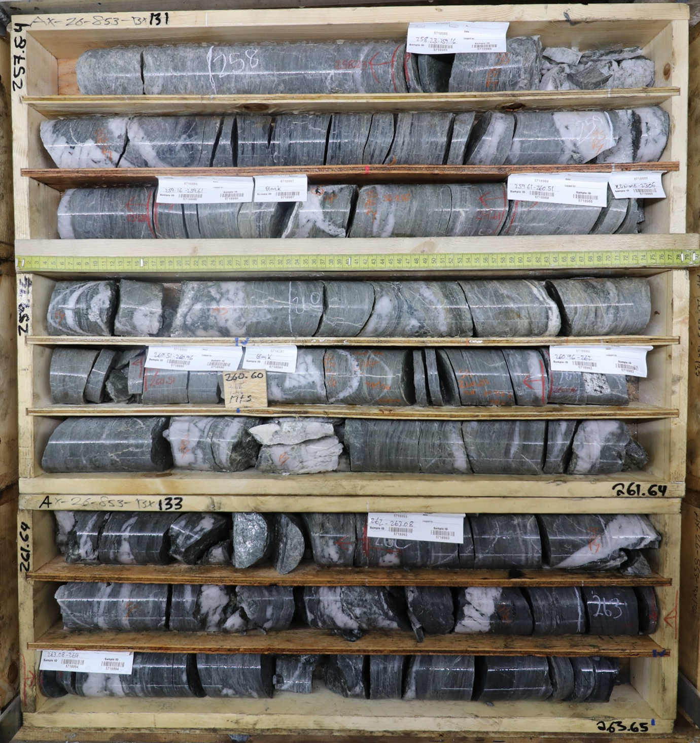 https://storage.googleapis.com/accesswire/media/1178462/banyan-img8-06172026.png