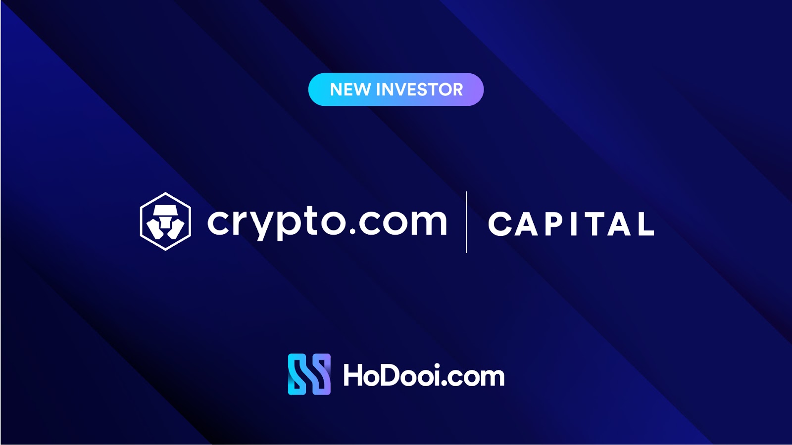 hodooi crypto