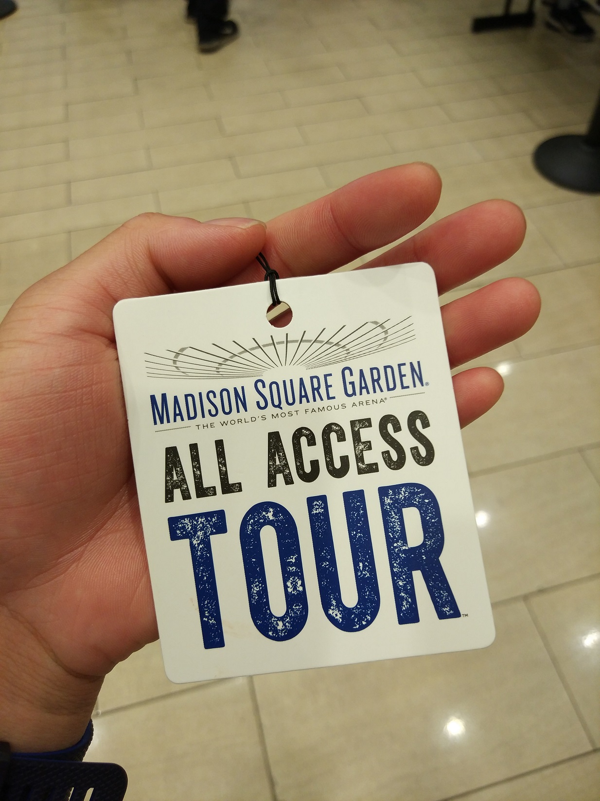 5 Facts About Madison Square Garden