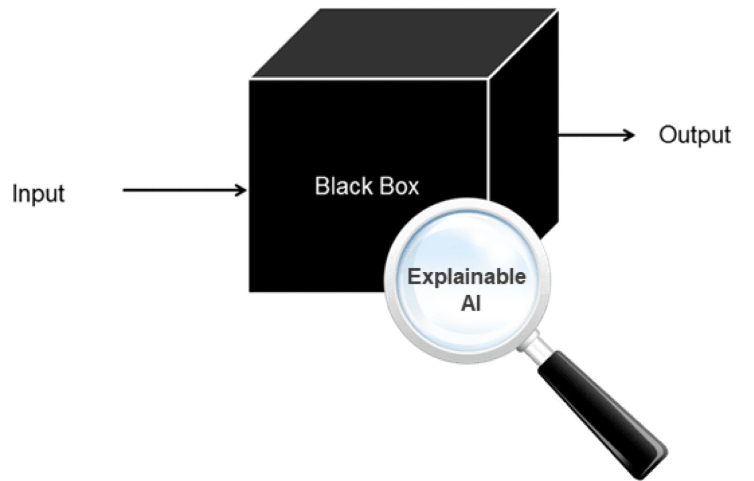 Black box example