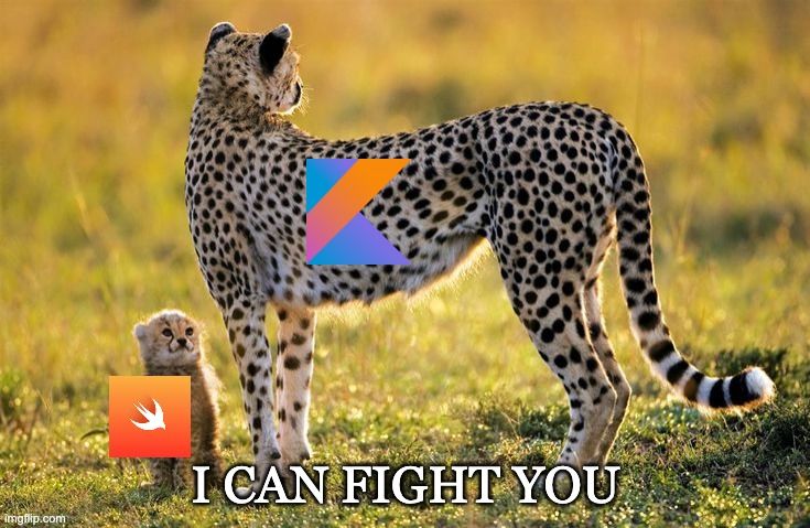 Meme: velký gepard s logem Kotlinu a malé mládě s logem Swiftu s nápisem I can fight you – Swift pro Android si troufá na zavedený Kotlin Multiplatform