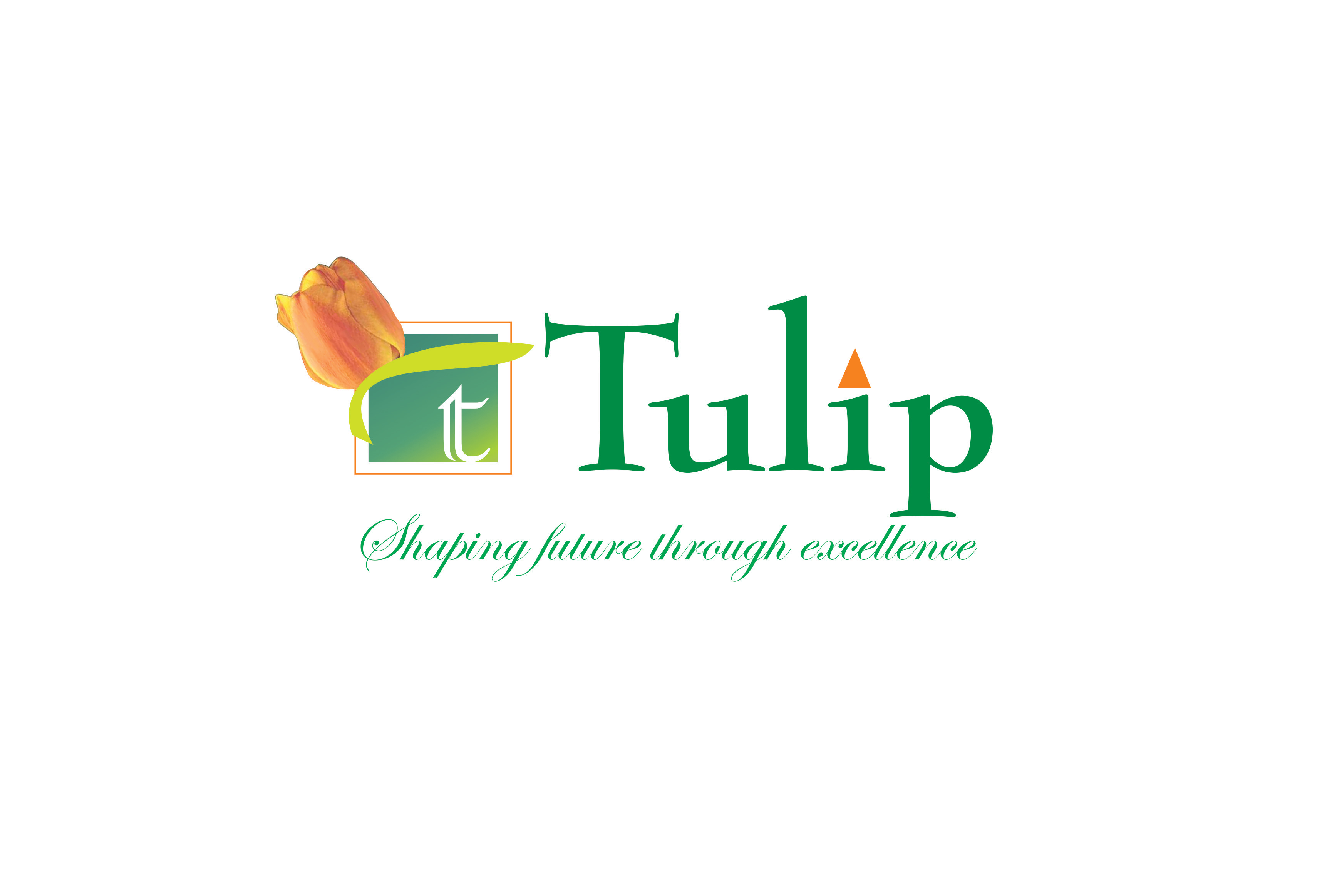 project image of Tulip