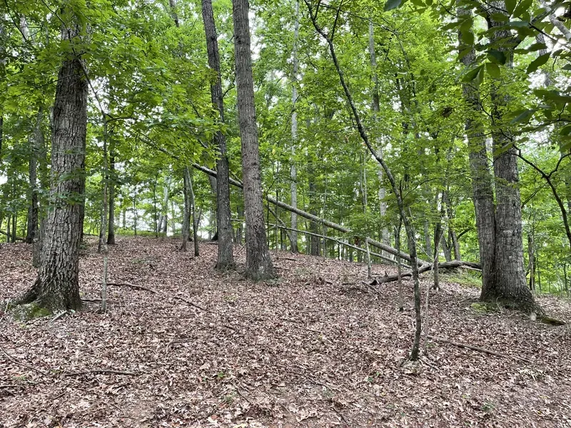 11+/ ACRES HALL COUNTY, GA Land for Sale Hall County, GA 10429