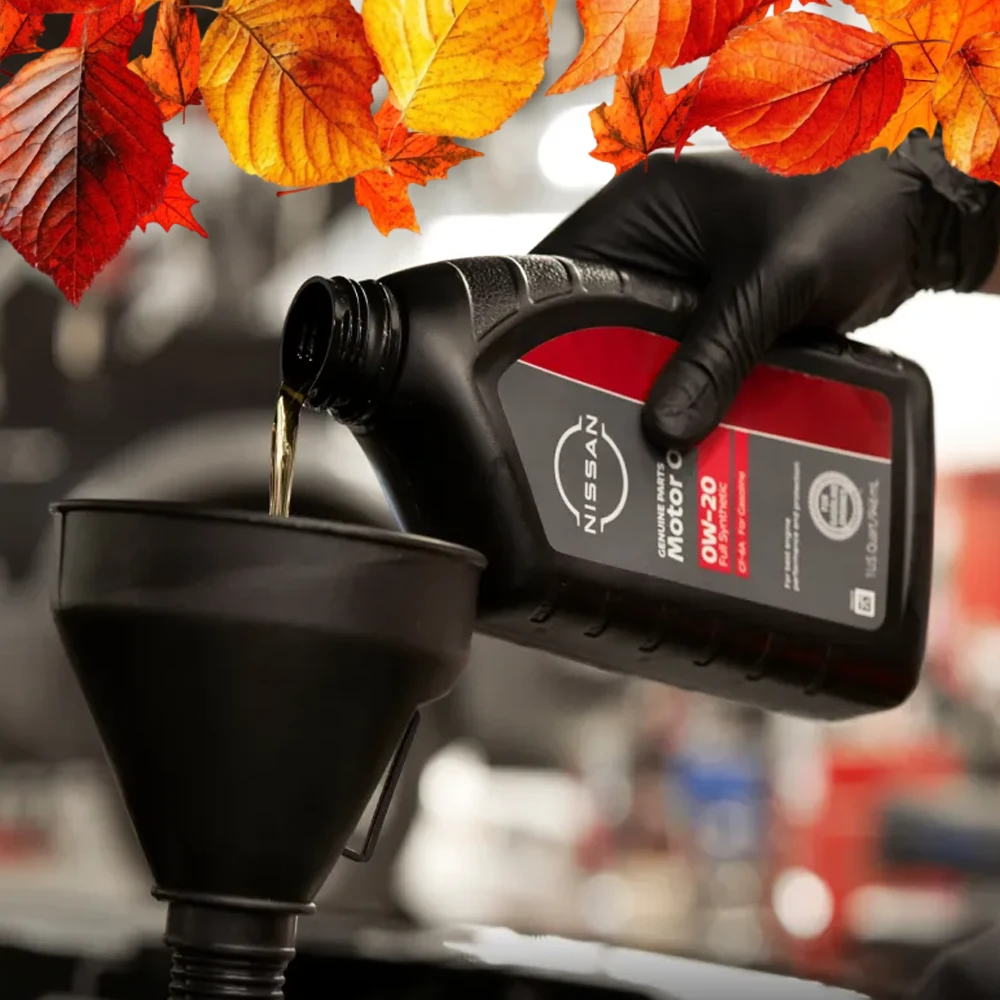 Oil & Filter Change