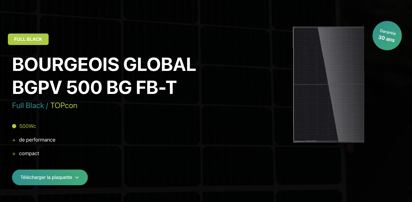 BGPV 500 BG FB-T