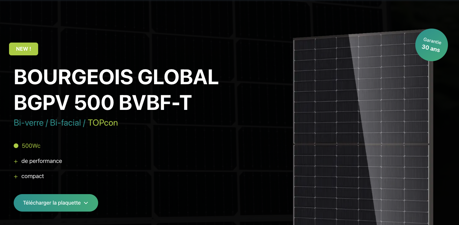 BGPV 500 BVBF-T