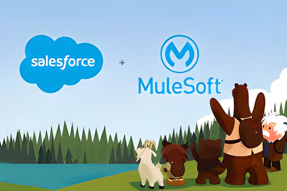 Salesforce and MuleSoft