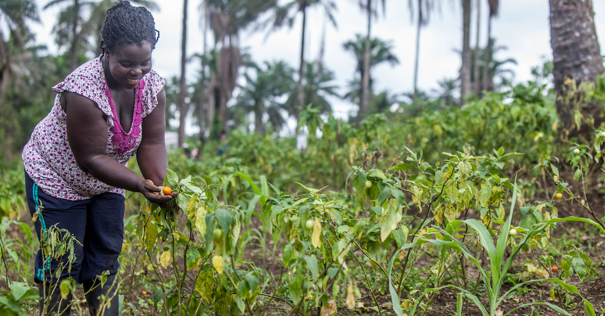 Investissez dans la transition verte pour l’Afrique et le monde