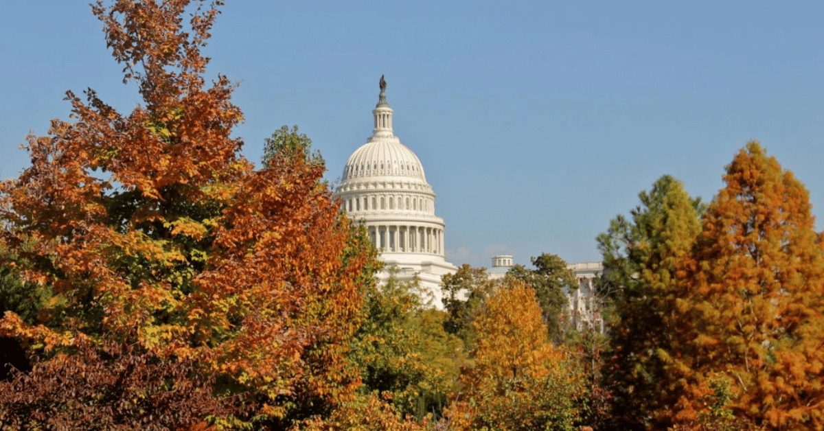 Congress, don't let lifesaving programs fall through the cracks