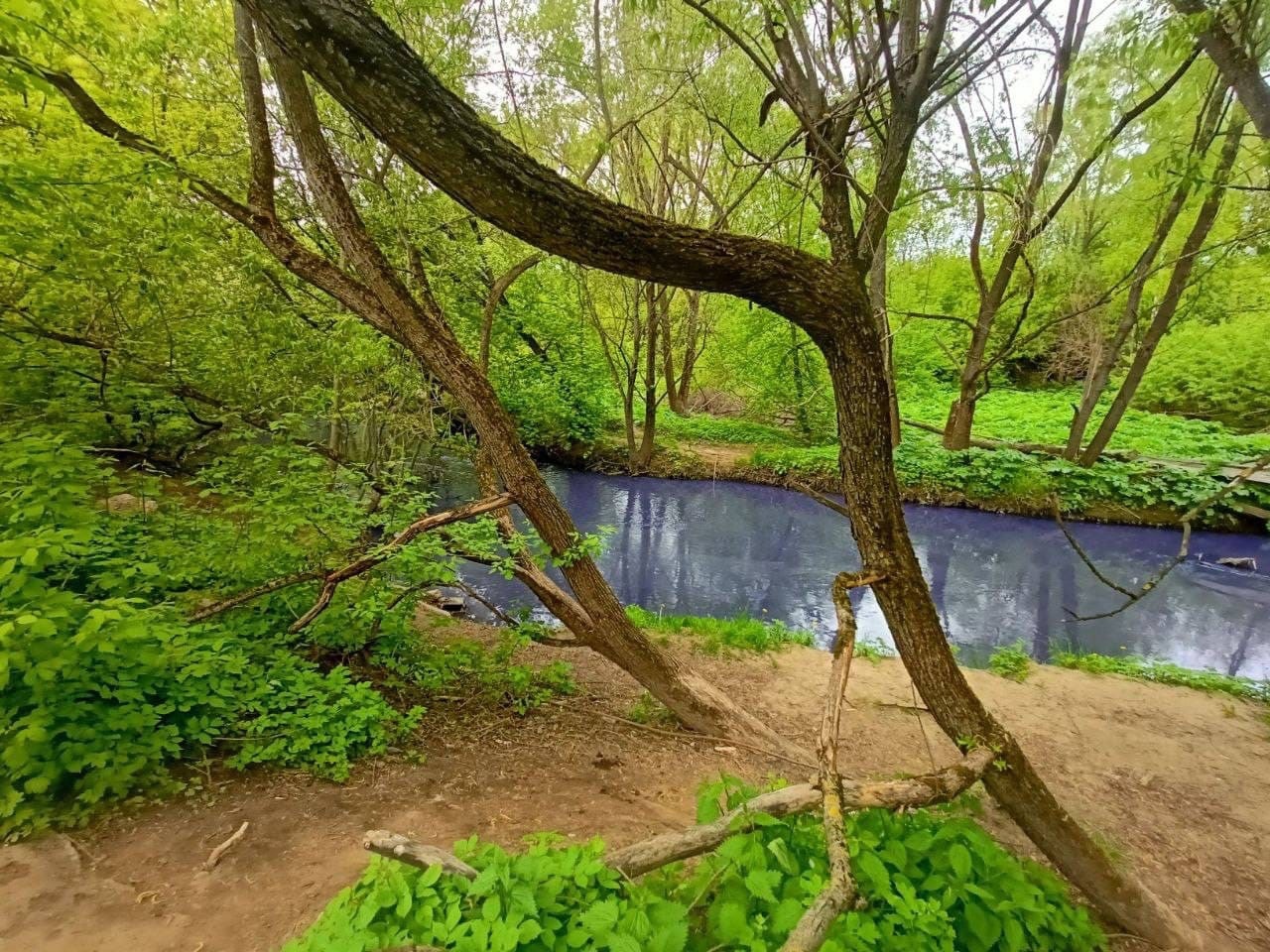 экологический парк лихоборка