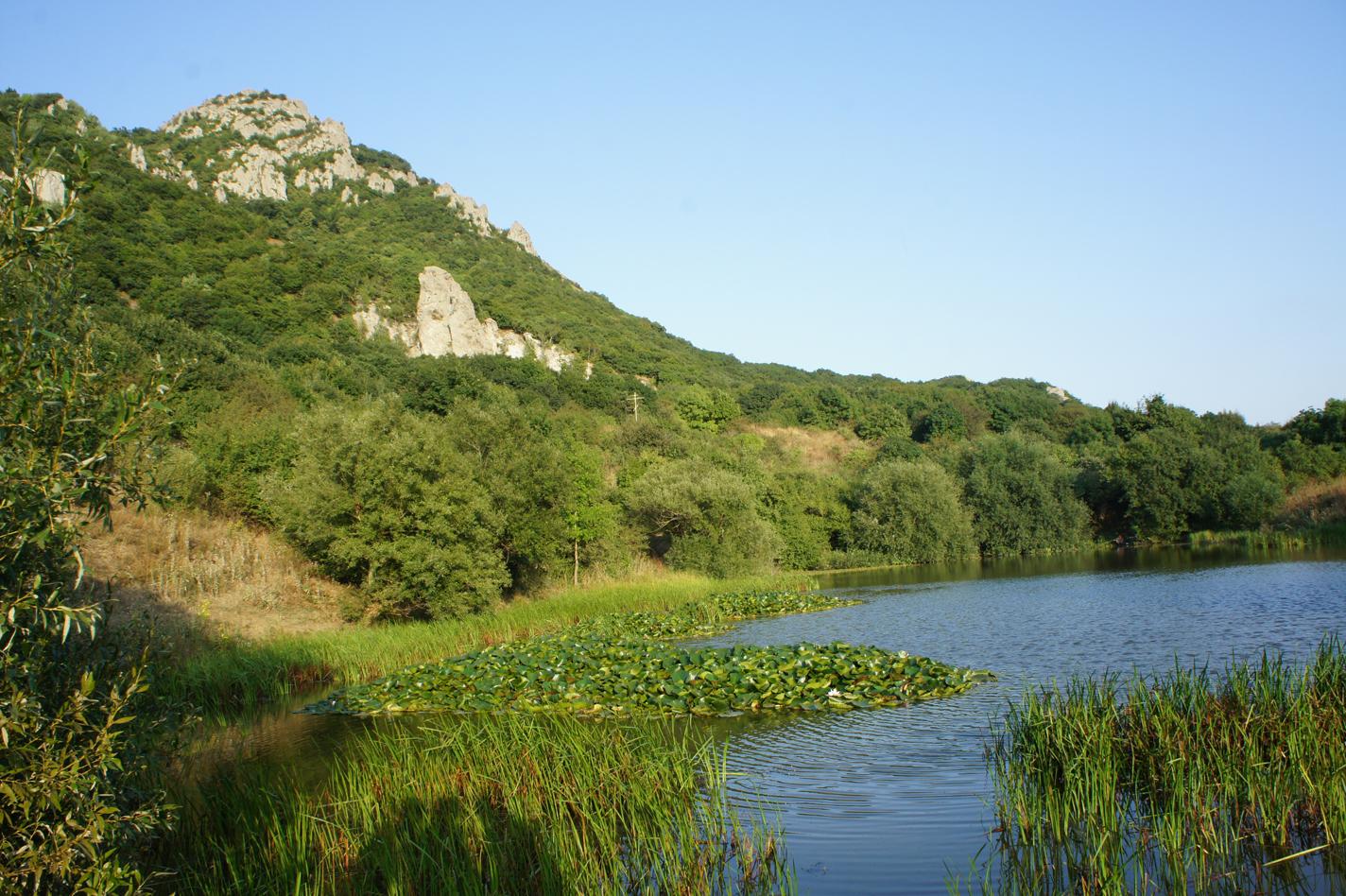 Индекс ставропольский край село. Гора Бештау заказник. Бештаугорский заказник Ставропольского края. Александровский заказник Ставропольский край. Бештаугорский Лесной массив.