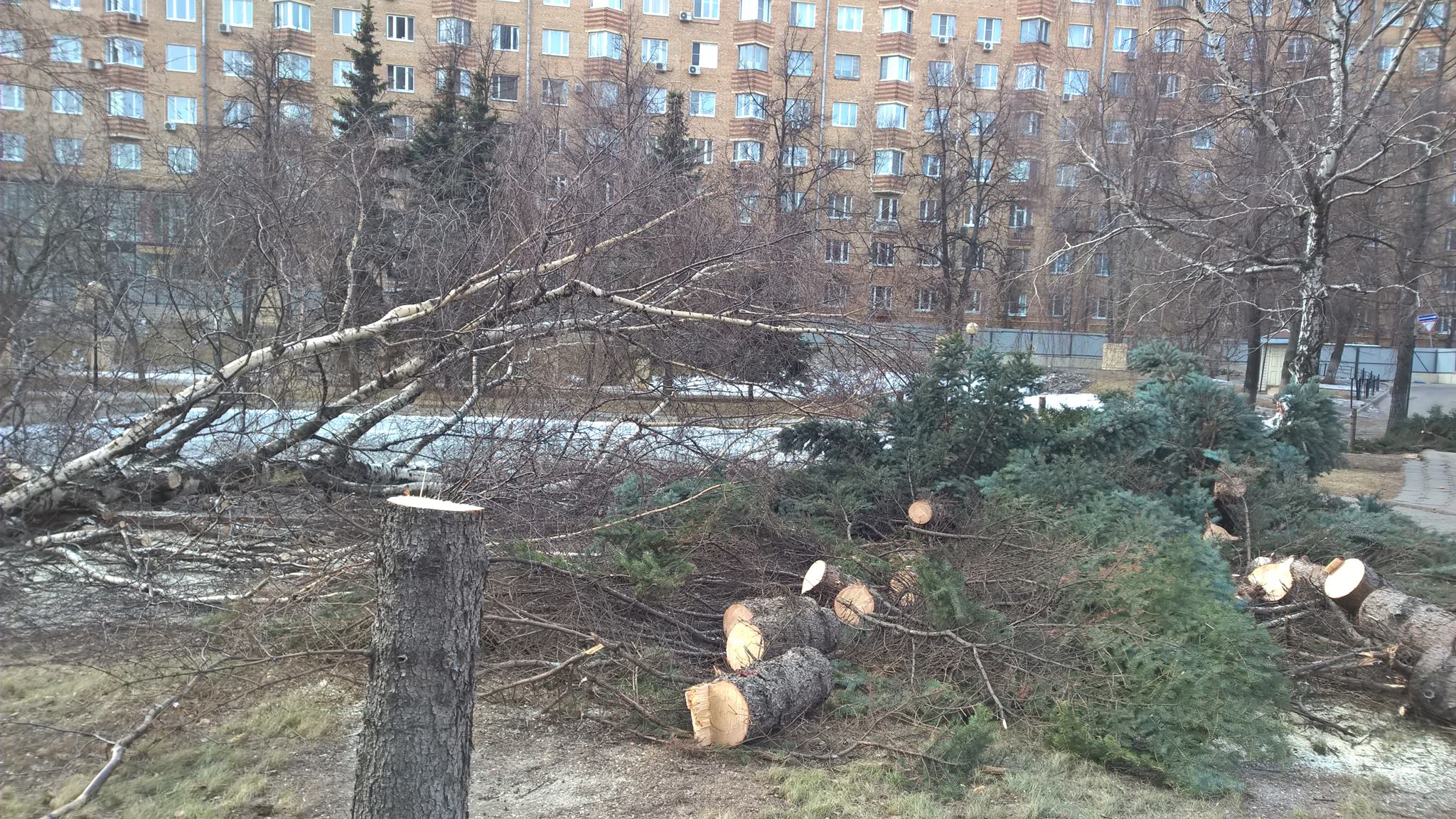 Спилить дерево подмосковье