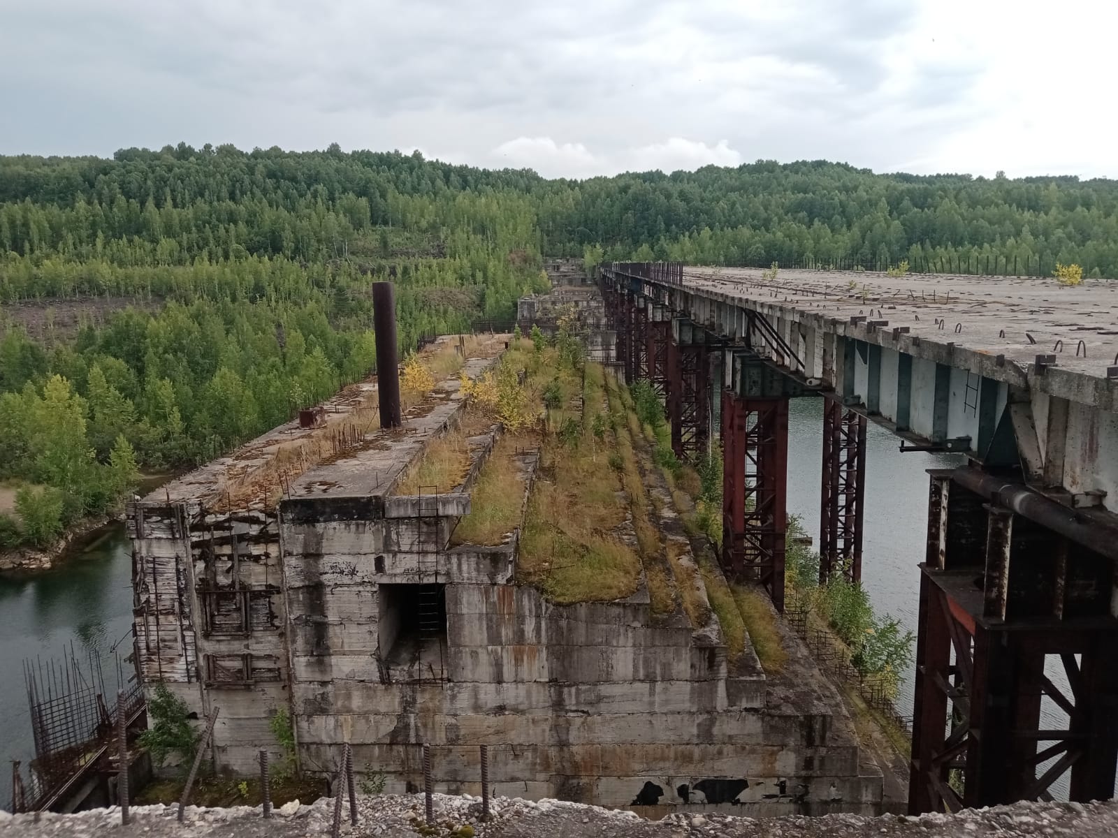 Изображение речного строителя плотин обитающего в кузбассе