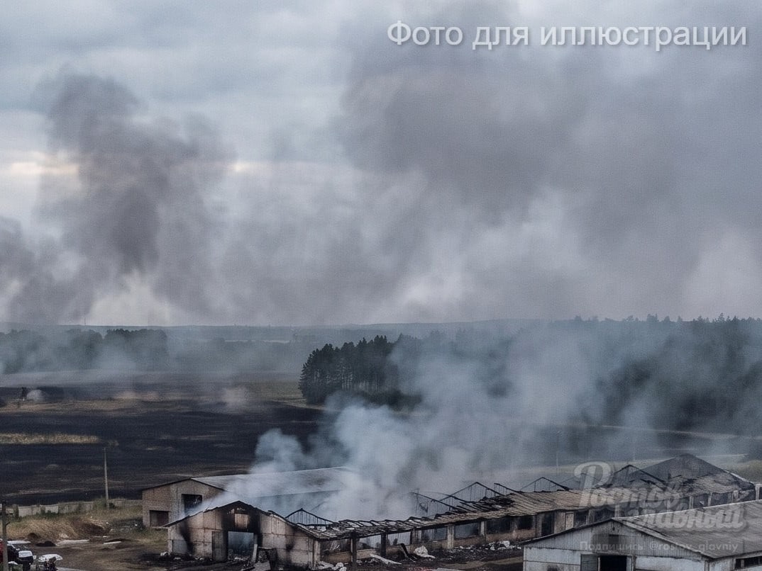 Пять человек погибли в Ростовской области в результате атаки БПЛА
