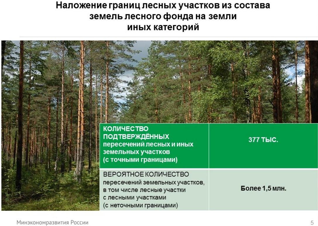 Муниципальная собственность на лесные участки. Земли лесного фонда. Участок лесного фонда. Участок на землях лесного фонда. Границы земель лесного фонда.