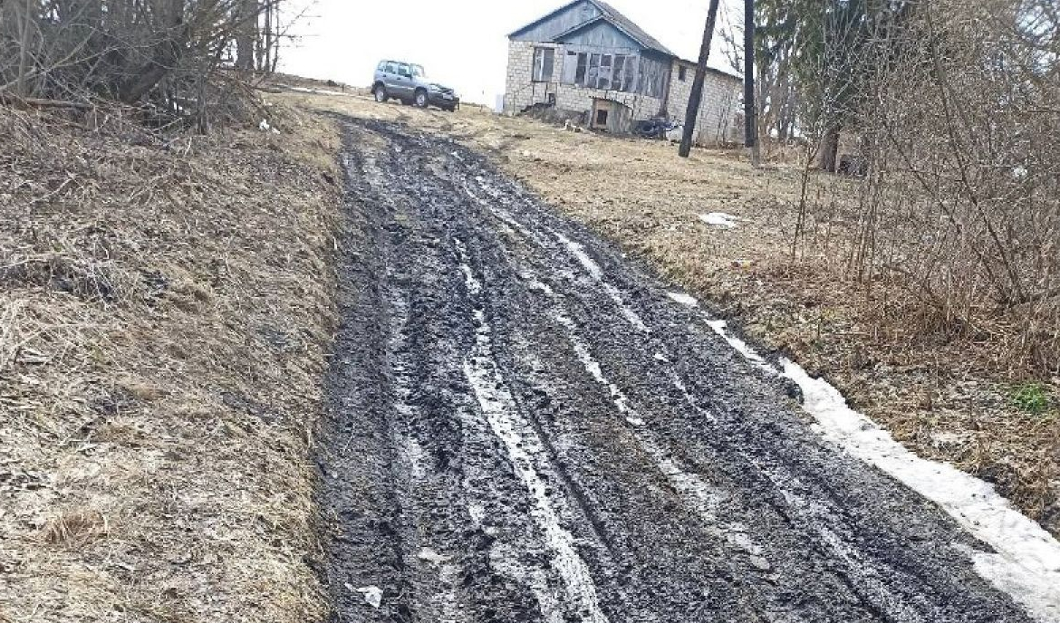 В Орловской области люди не могут выехать из деревни из-за грязи