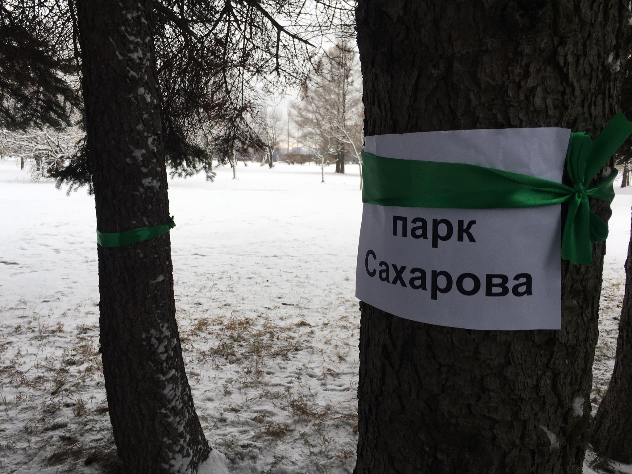 Зеленые ленточки в защиту парков и скверов Петербурга