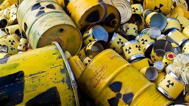 Декларация против строительства ядерного могильника в Сосновом Бору будет передана президенту