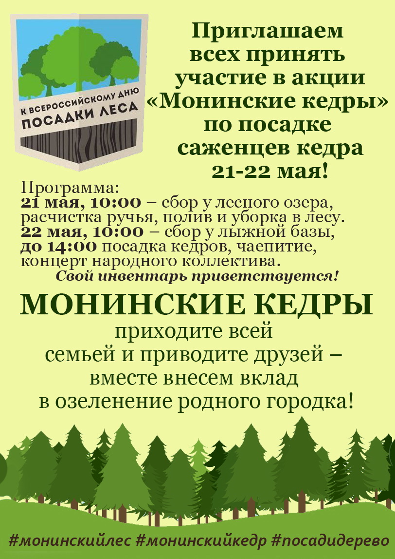 Монинские кедры
